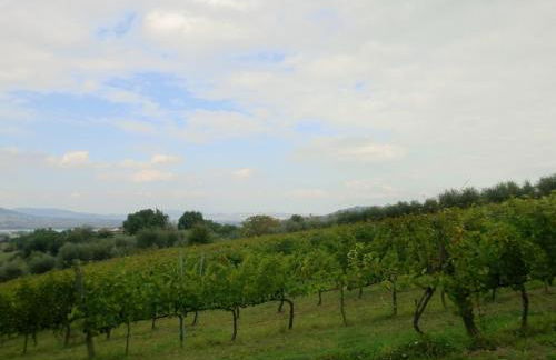 Holiday Home in Pietrafitta Near Lake Trasimeno - Photo 66