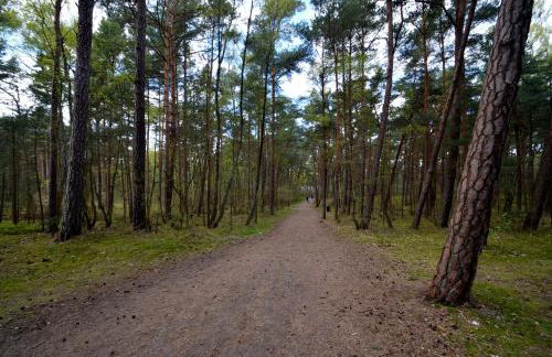 Pensjonat Ślepowron - Foto 44