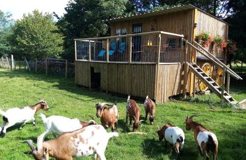 Le Cabanon - Foto 22