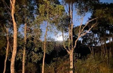 Cabana Vale Matutu - Foto 23