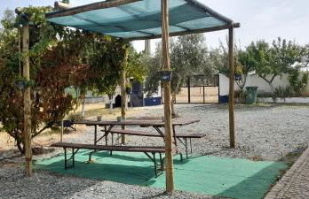 Monte do Rochinha - Foto 65