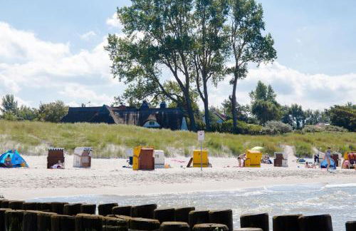 Friederike - Foto 19