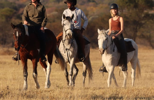 Waterberg Cottages - Foto 36