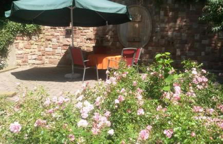 Ferienwohnungen Eichenhof - Photo 64