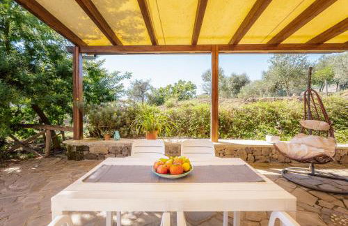 Albero di Giada - Foto 42