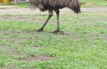 Saughall Mill Farm Cottage - Photo 146