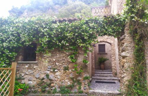 Agriturismo Colloreto - Foto 28