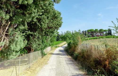 Il Vigneto Cottage - Foto 8