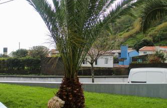 Waterfall House - Photo 38