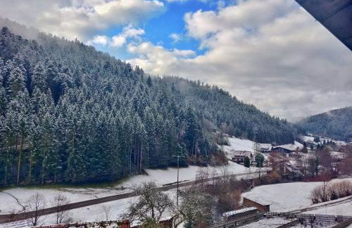 Ferienwohnungen Vogt's Libding - Photo 39