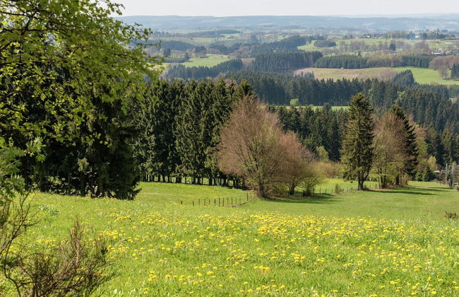 All-in Price for This Design and Comfy Home Located Near the Forest, Sauna Incl - Foto 72