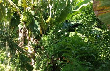 Refúgio sossego (casa de campo) - Foto 18