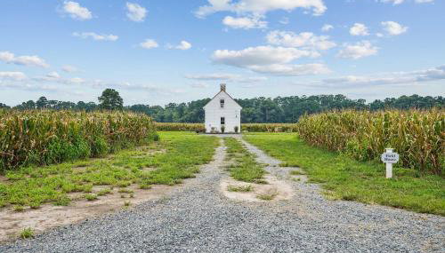 Charming 2BR with Fire Pit on Farm - 10 Min to Wharf - Foto 5, Garden