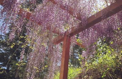 Le Apuane Holidays - Foto 13