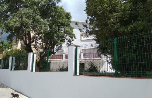 Alt Penedes, terra de vinya, sol, aigua i muntanya - Foto 1