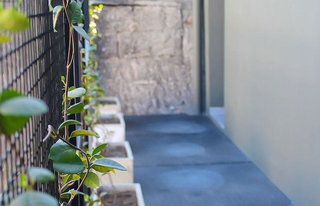 Suites Isla Verde - Foto 35