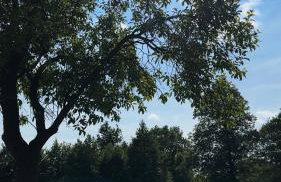 Hygge Młyńsko - Foto 33