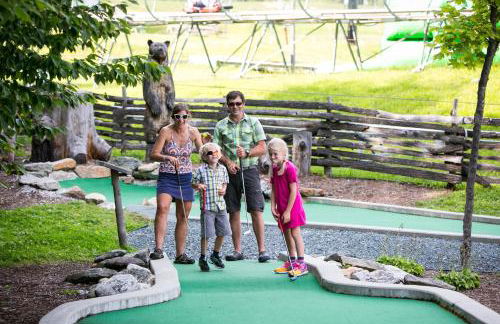 1br Ski-in, Ski-out With King Bed- Okemo Mtn Lodge 1 Bedroom Condo by RedAwning - Foto 30