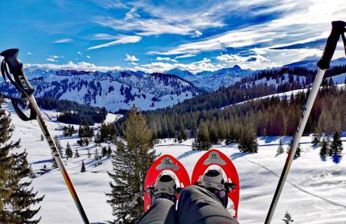 Gemütliche Ferienwohnung Bergwiese, 2-Raum, separates Schlafzimmer, schönen Balkon oder Terrasse, Komfort Ausstattung, ruhige Südlage, kostenfrei WLAN und schöne helle Sauna, Brötchenservice, Parkplatz, Hunde auf Anfrage, E-Tankstelle, Sonnenlage - Photo 51