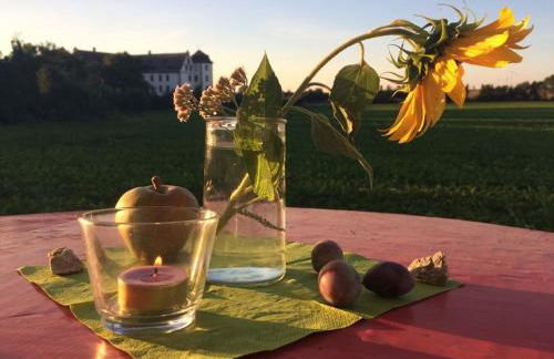 Ferienwohnung Walkershofen - Foto 7