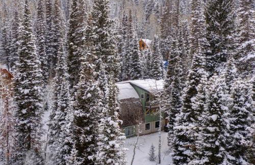 Brighton Bonanza - Foto 43