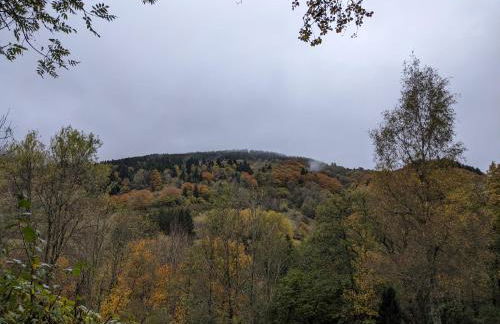 Perce-neige - Foto 22