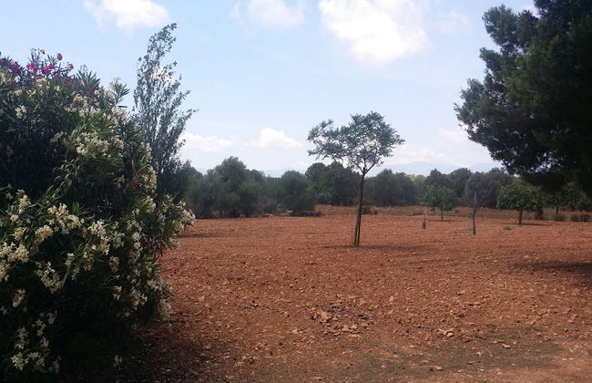 Villa Son Granada - Foto 47