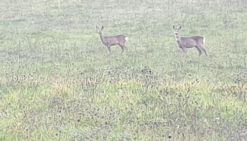 Appartamento Serenella - Foto 2