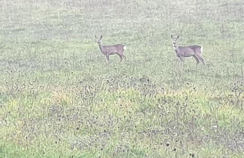 Appartamento Serenella - Foto 2