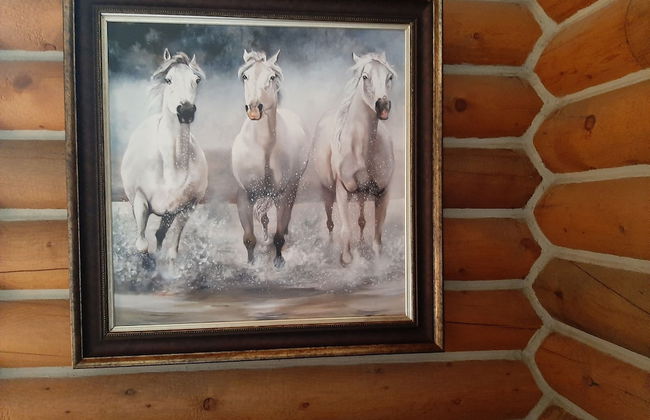 Cherokee mountain log cabin resort - Foto 26