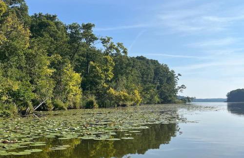Ferienhaus Bullenberg - Foto 10