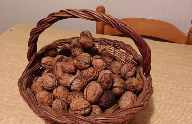 Casa Macías - Foto 31