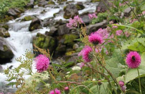 Vintage chic -central, wifi, mountain view-BelleVue3 - Photo 45