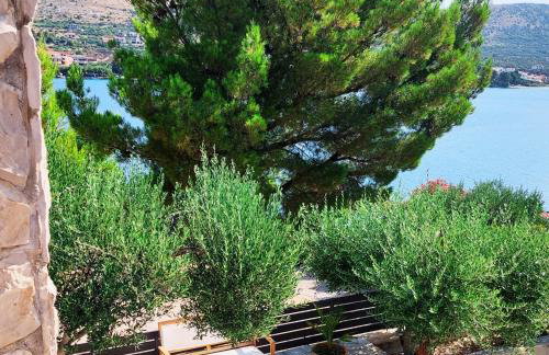 Villa Gjardini - Sparadici - Photo 42