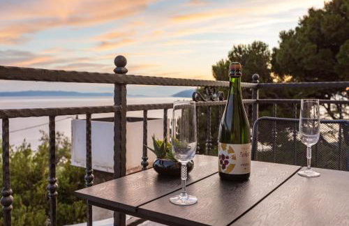 Ivićev san - Foto 40