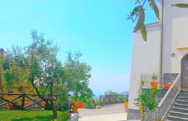 Villa Barbara - Photo 41