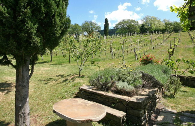 Villa Lo Scoiattolo - Photo 33