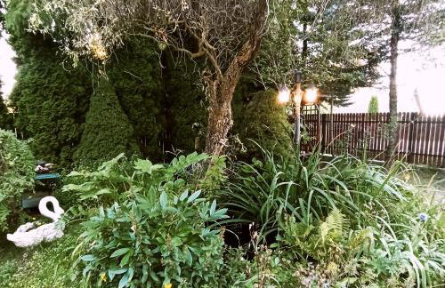 Domek letniskowy Ali - Foto 7