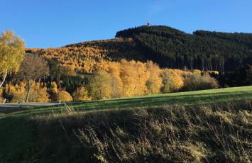 Steigerhaus Sauerland - Foto 18