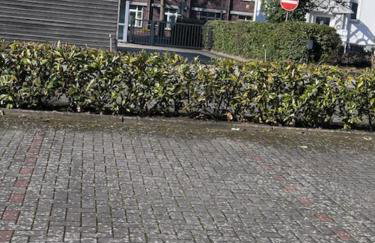 Ferienwohnung Seeperle - Foto 49