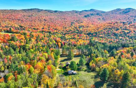 Elmore Meadows - Photo 26