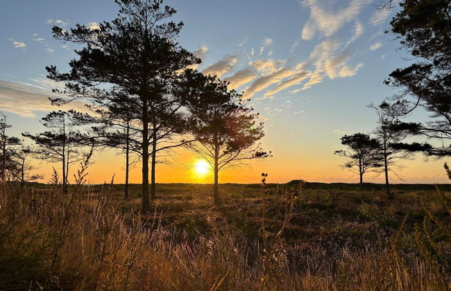 4 Star Holiday Home in Hals - Foto 6