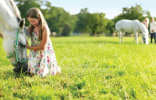Lipica & Skocjan Caves Day Trip - Photo 2