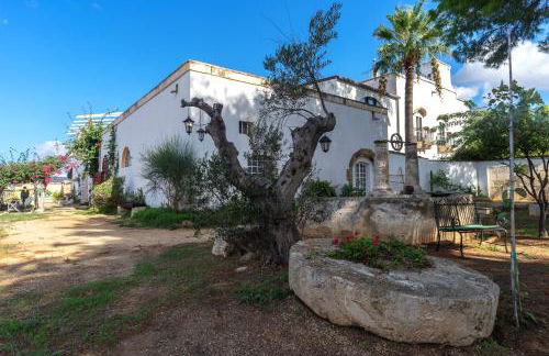 Masseria Tornesella Don Giuliano - Foto 62