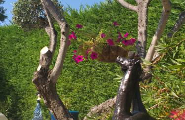 Lou Bagnou Mi-Clos - Foto 29