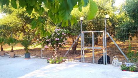 Mareliva Retreat - Photo 5