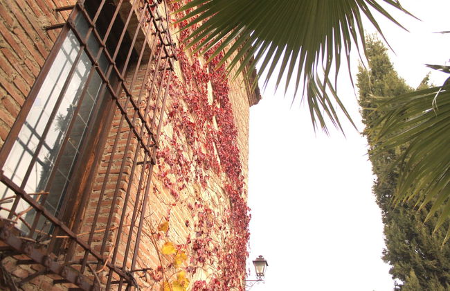 Casa Rural Rincón de la Fuente - Foto 39