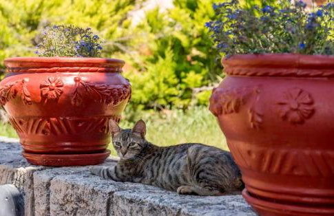 La luna house - Foto 10