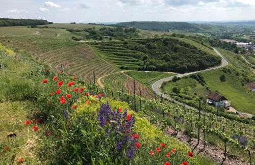 Ferienwohnung Inga - Foto 47
