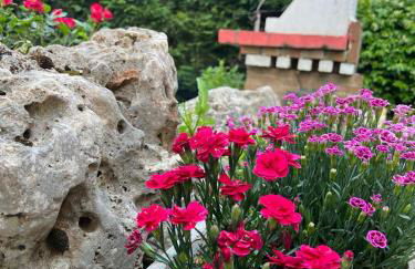 Venice Villa Rodio - Foto 13